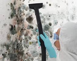 Best Forensic Mold Investigation in Sunbury, PA